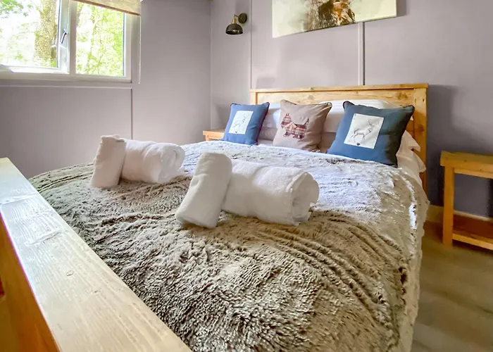 假日公园 克雷克山谷假日公园 *